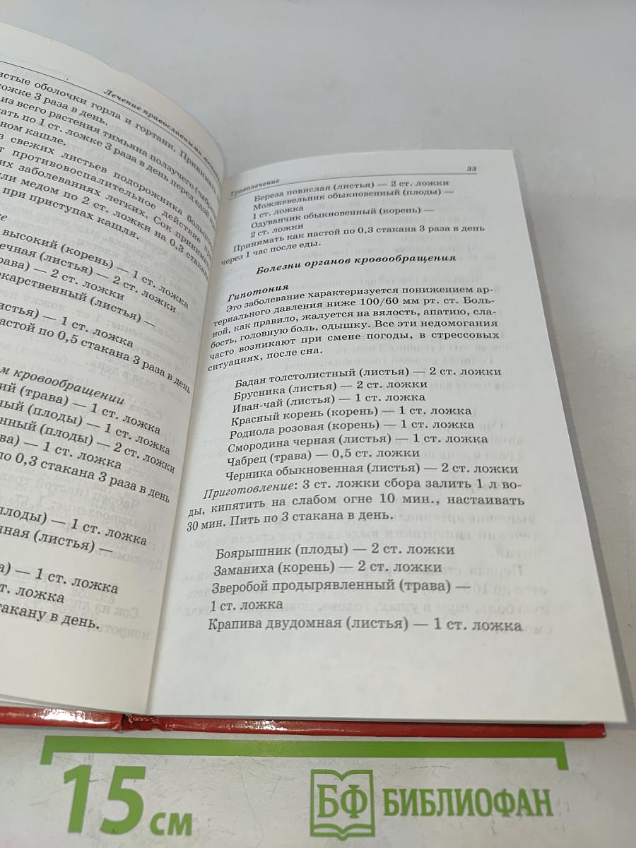 Лечение православными методами. С молитвой в сердце