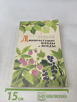 Дикорастущие плоды и ягоды
