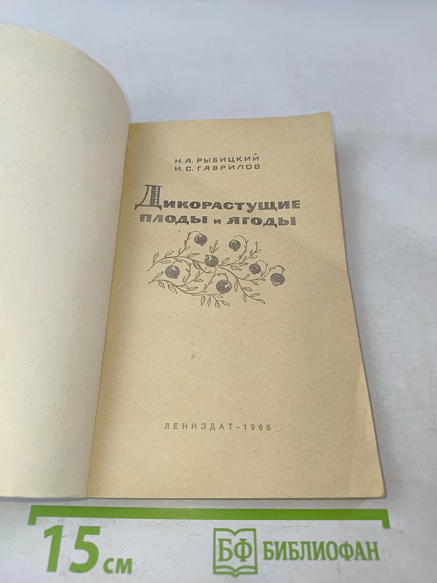 Дикорастущие плоды и ягоды