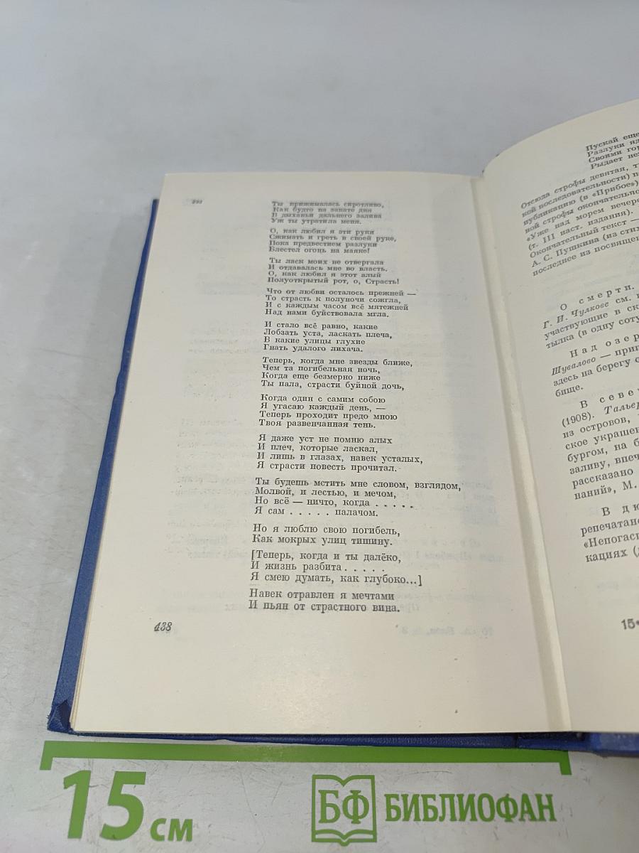 Собрание сочинений. Том второй. Стихотворения и поэмы 1904-1908