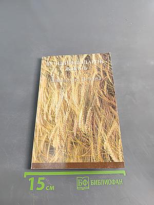 Не просто плотник. Евангелие от Иоанна