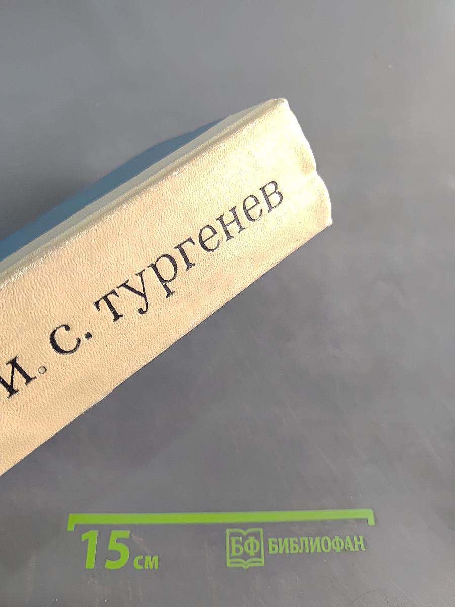 И. С. Тургенев. Записки охотника. Стихотворения в прозе. Из критического наследия