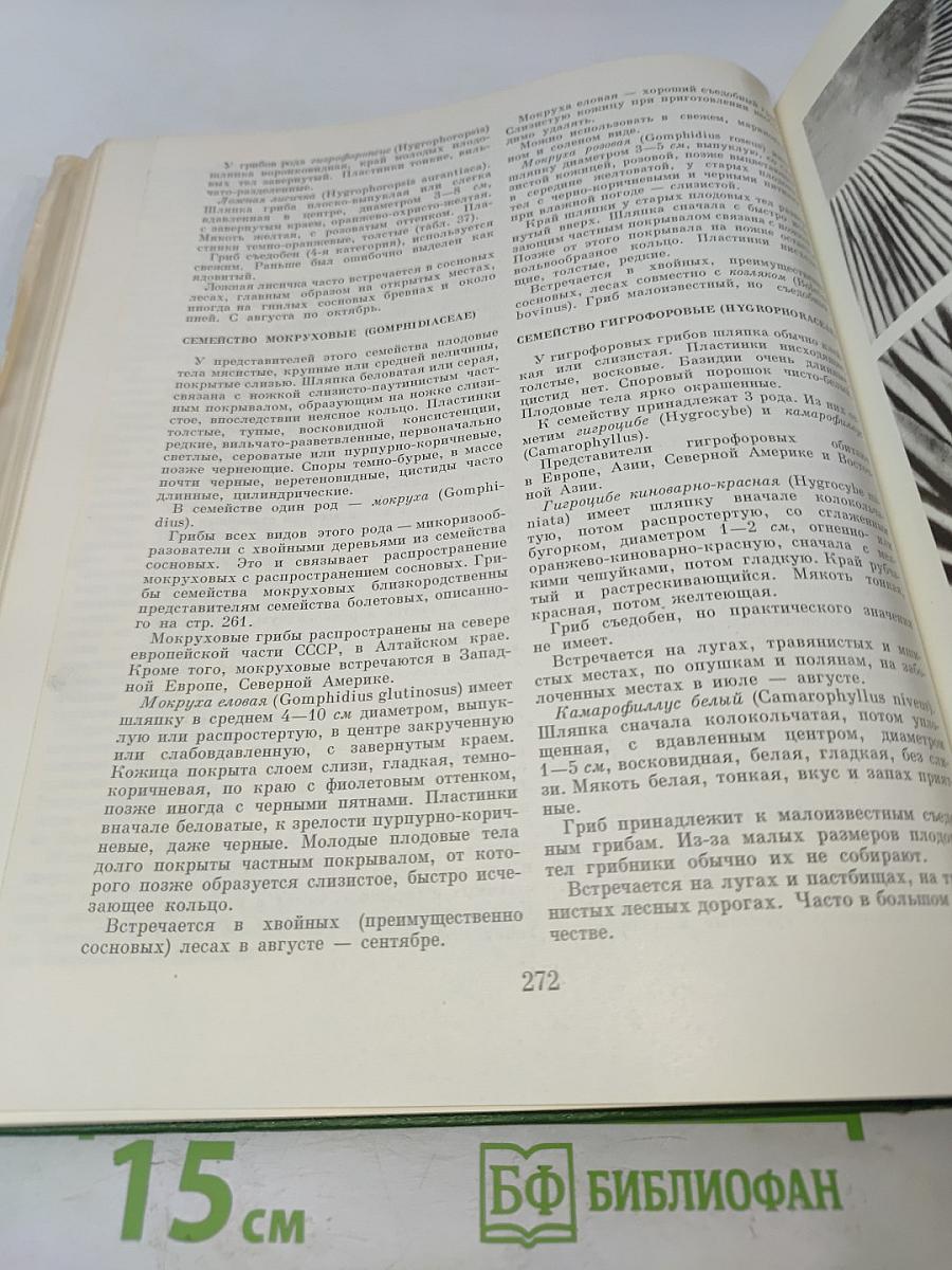 Жизнь растений. Том 2. Грибы