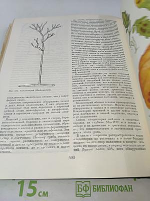 Жизнь растений. Том 2. Грибы