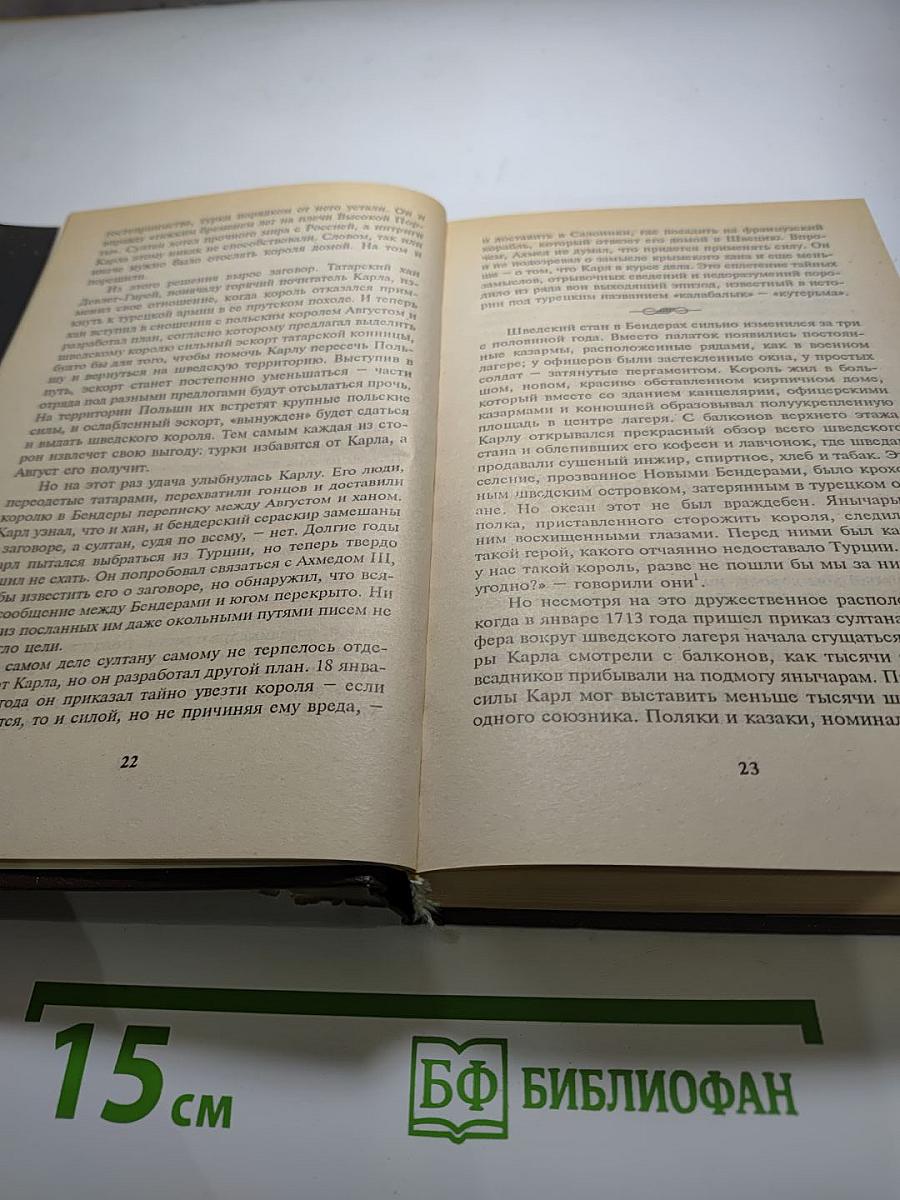 Петр Великий. В 3 томах. Том 3
