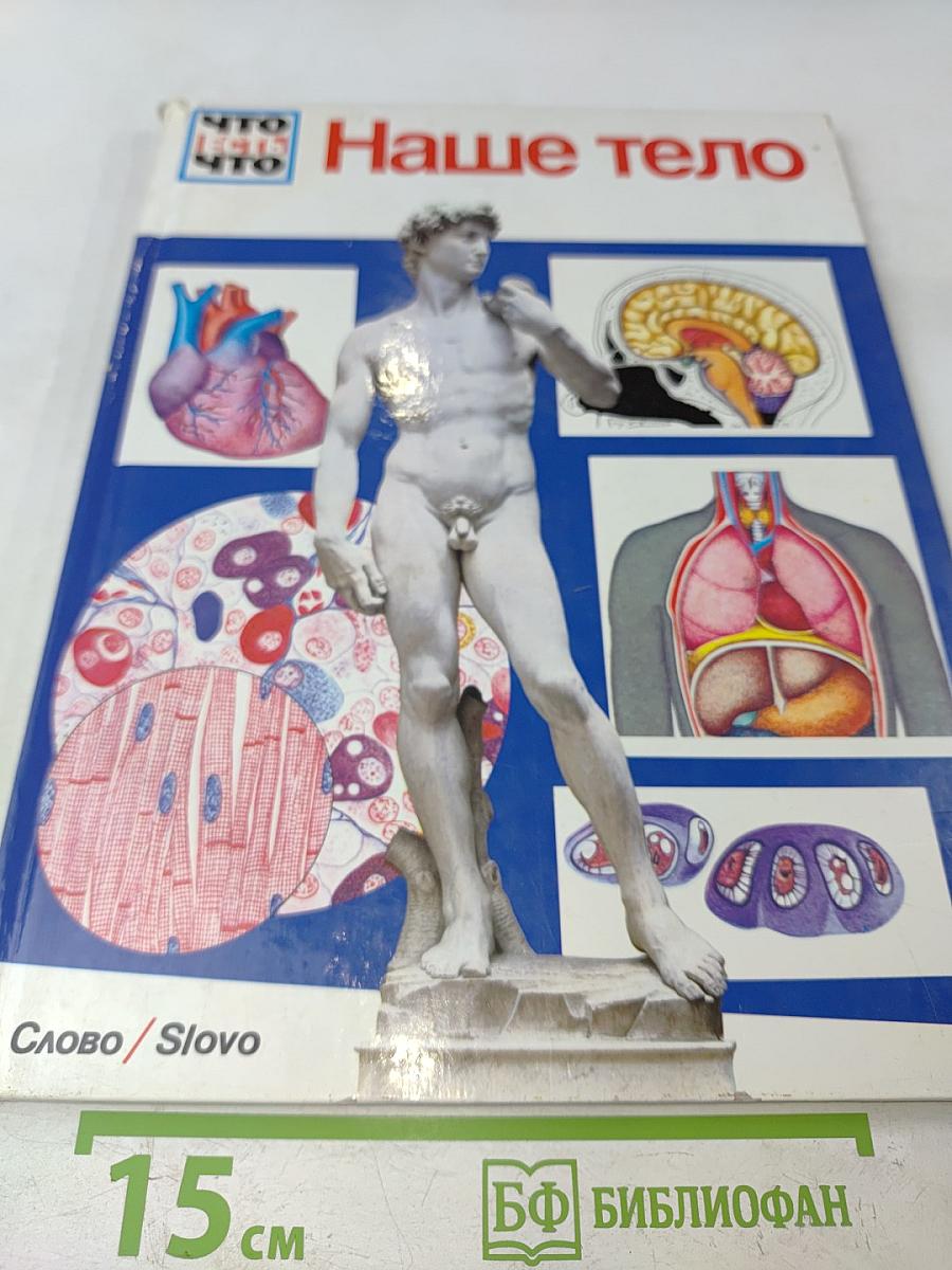 Наше тело
