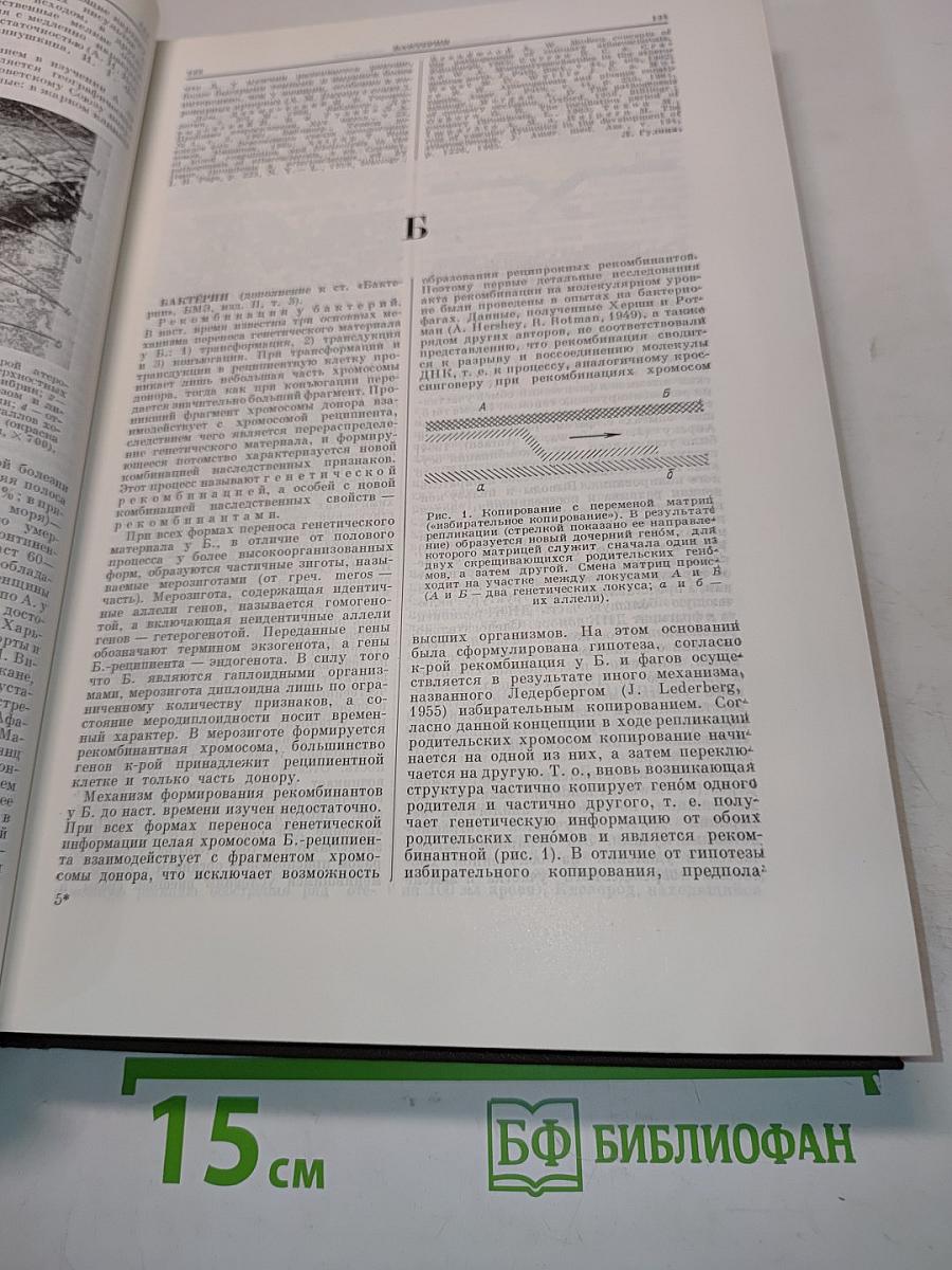 Ежегодник Большой Медицинской Энциклопедии