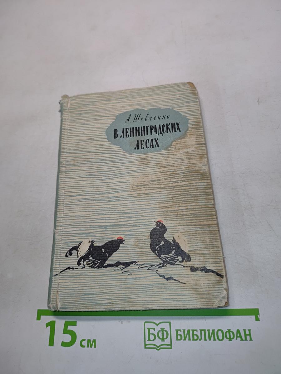 В ленинградских лесах