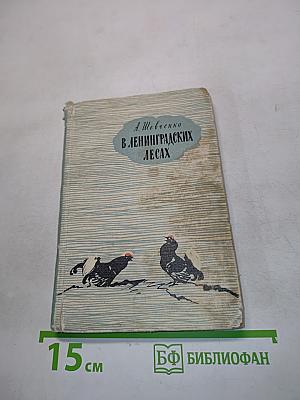 В ленинградских лесах