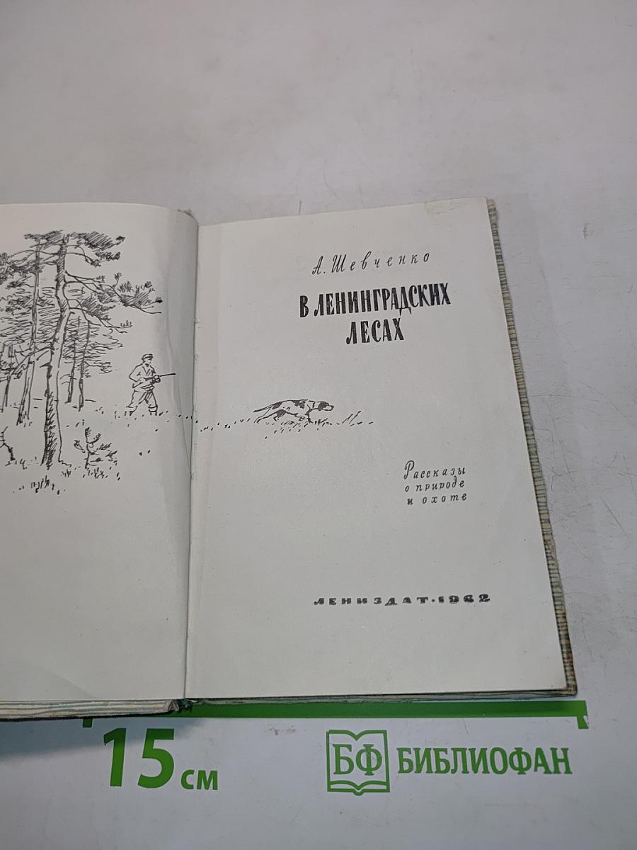 В ленинградских лесах