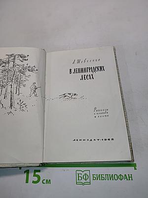 В ленинградских лесах