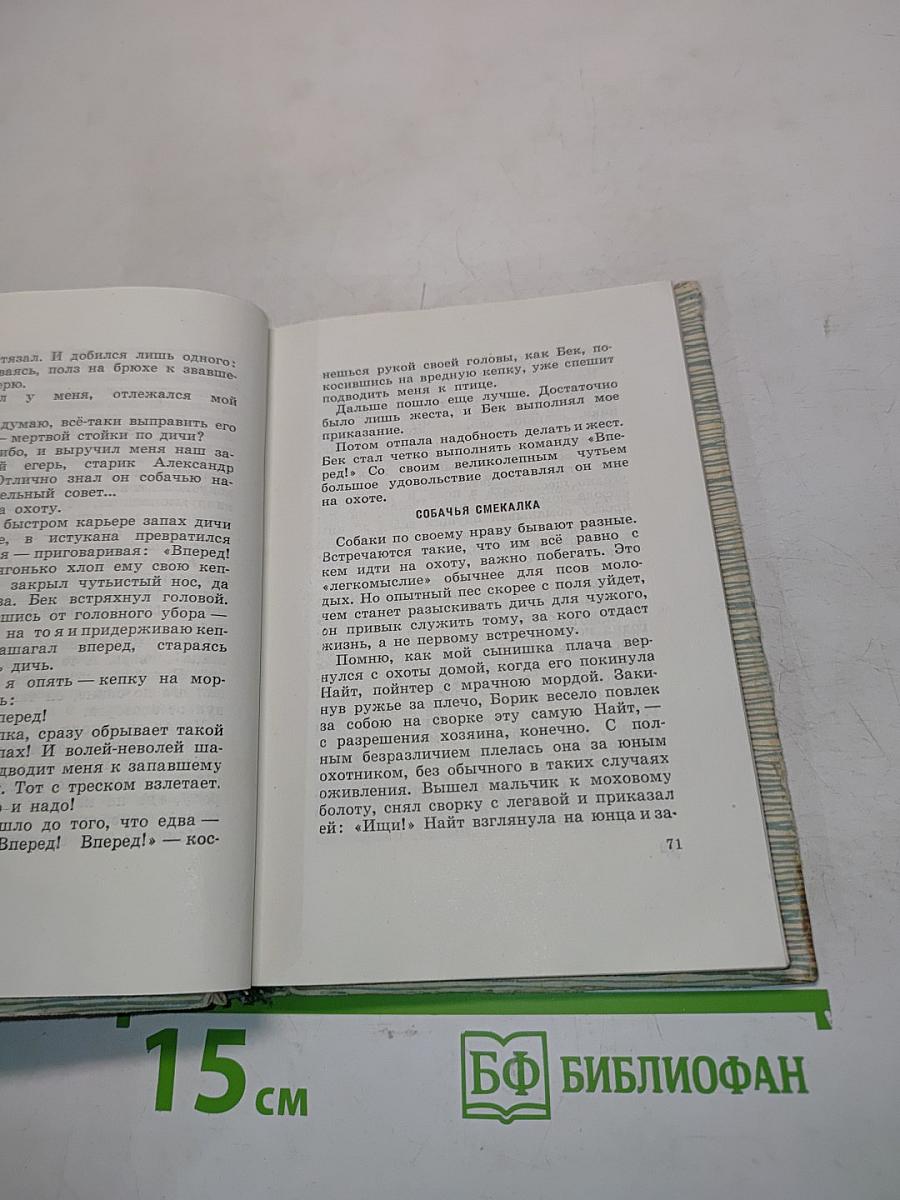 В ленинградских лесах