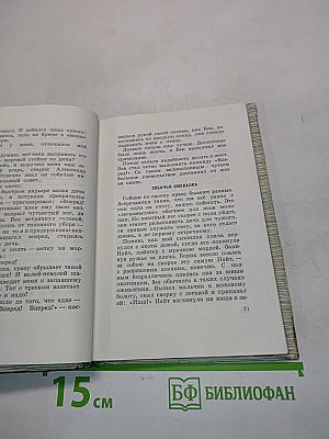 В ленинградских лесах