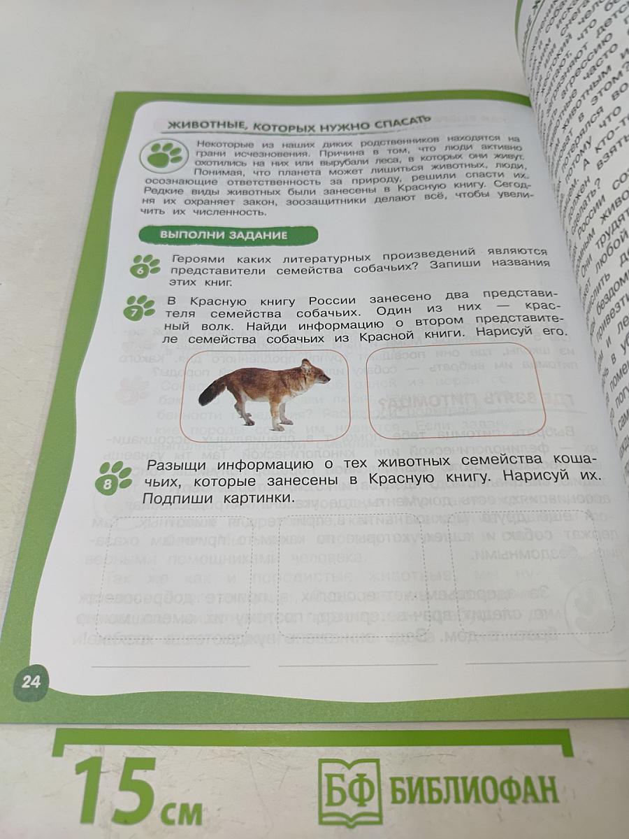Мы – твои друзья. Рабочая тетрадь для школьников