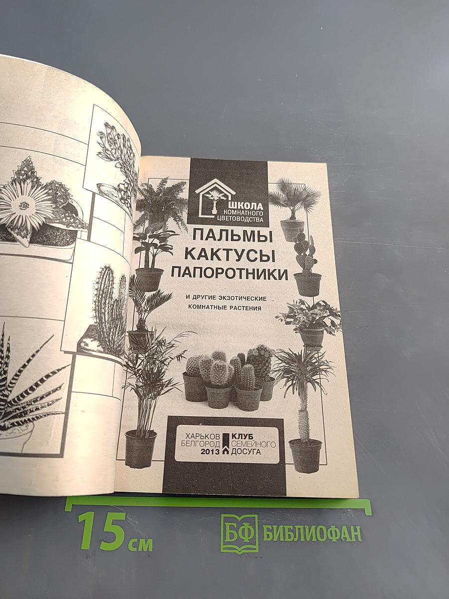 Пальмы, кактусы, папоротники и другие экзотические комнатные растения