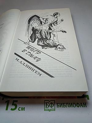 Тигр в дыму. Загадочная женщина