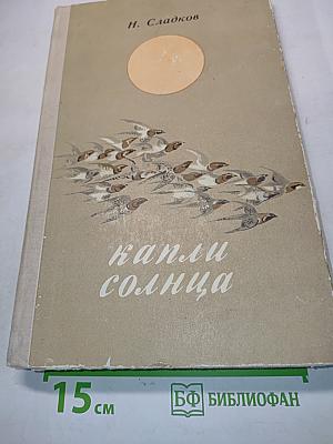 Капли солнца