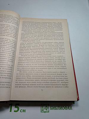 Синдикат