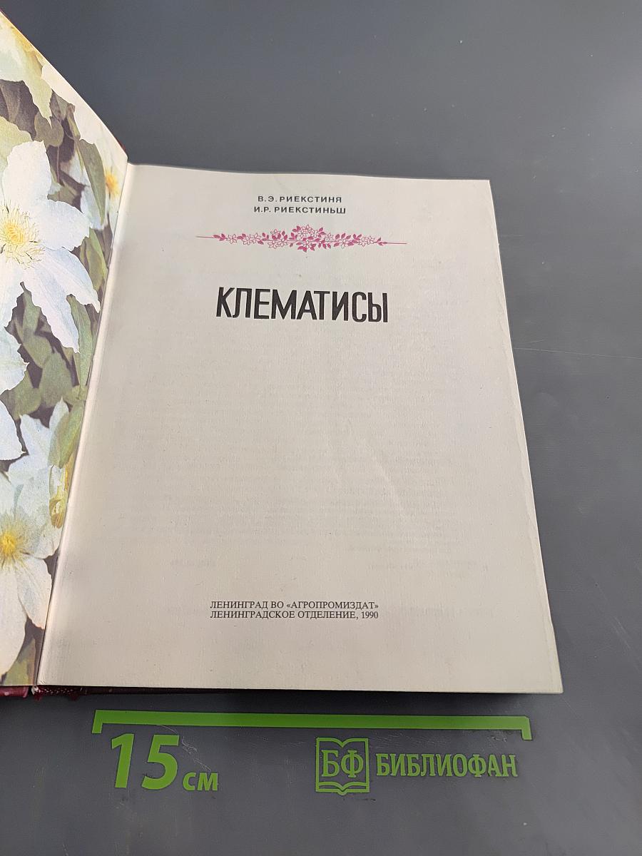 Клематисы