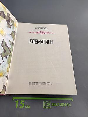 Клематисы