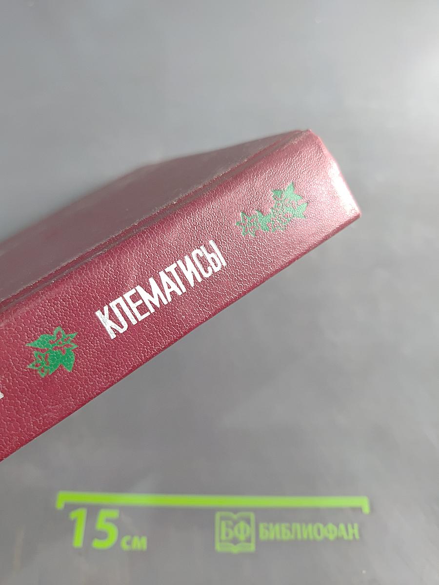 Клематисы