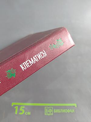 Клематисы
