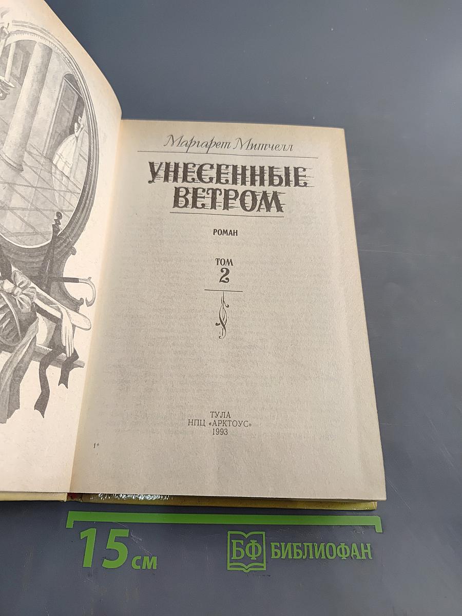 Унесенные ветром. Том 2