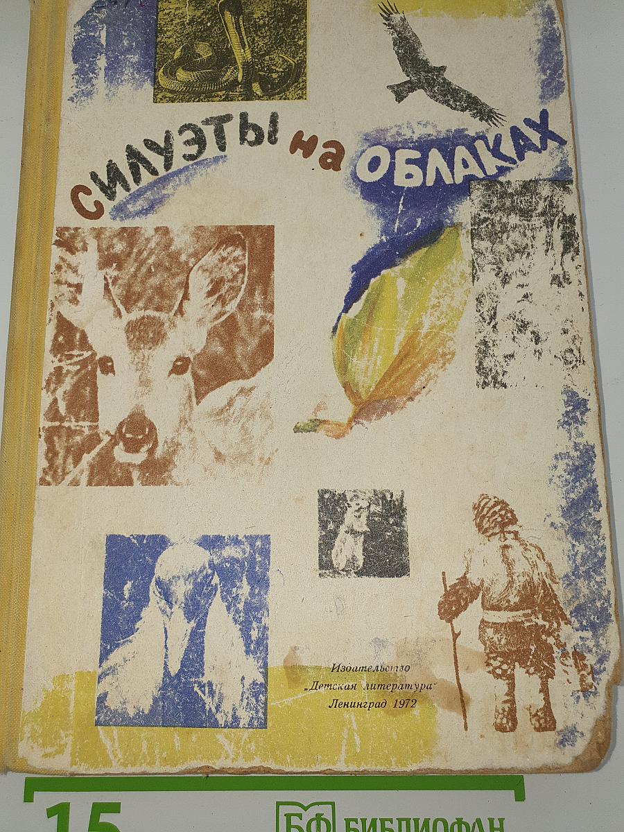 Силуэты на облаках