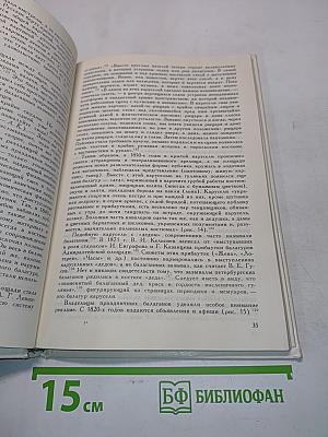 Петербург и губерния. Историко-этнографические исследования