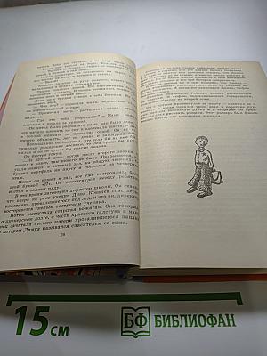 Мальчик с коньками