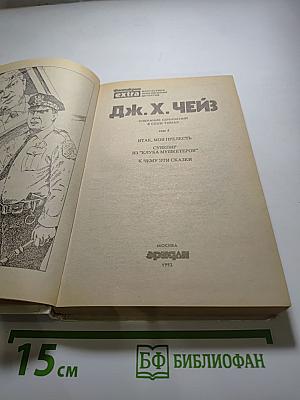 Итак, моя прелесть?...