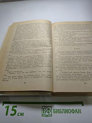 Итак, моя прелесть?...