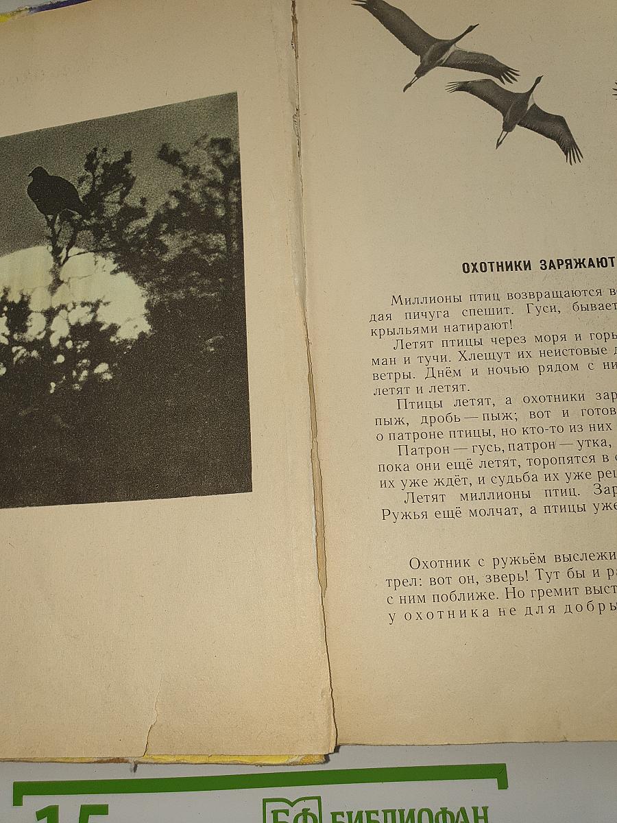 Силуэты на облаках