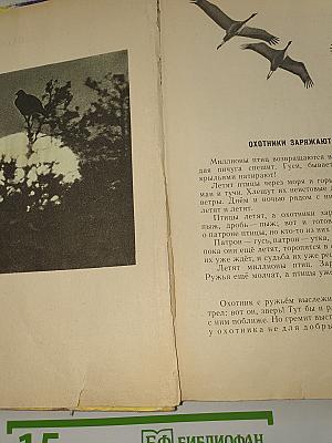 Силуэты на облаках