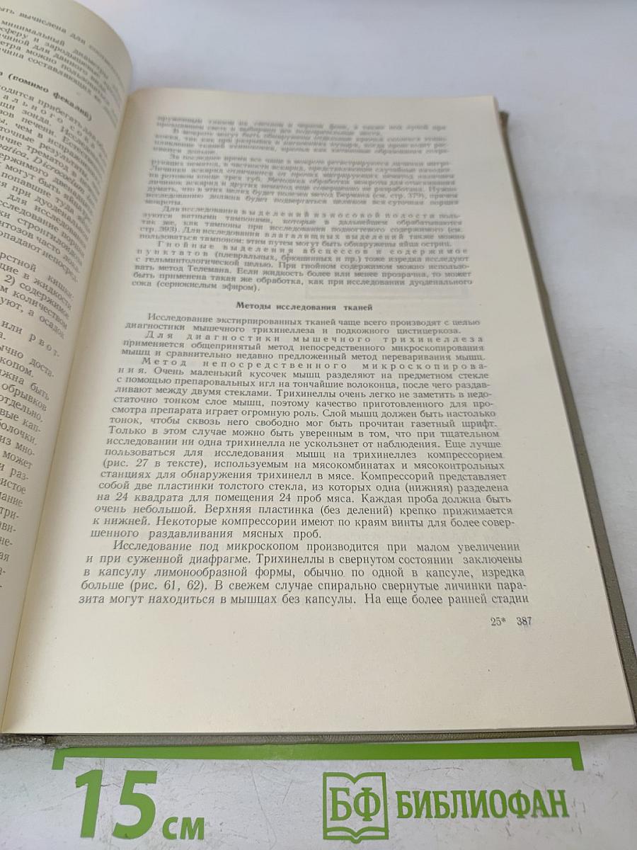 Глистные болезни человека