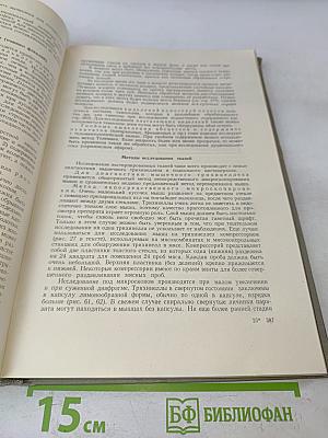 Глистные болезни человека
