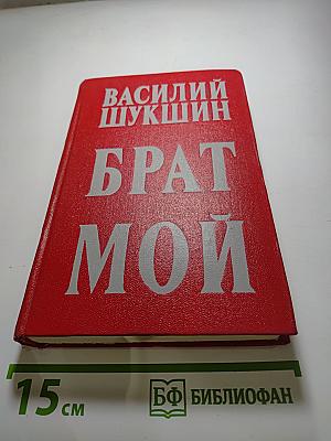 Брат мой