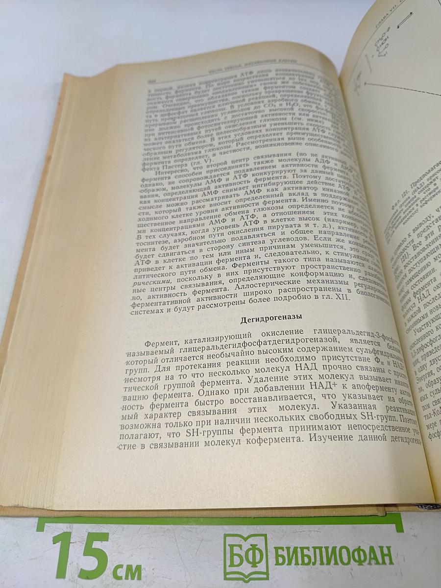 Физиология клетки