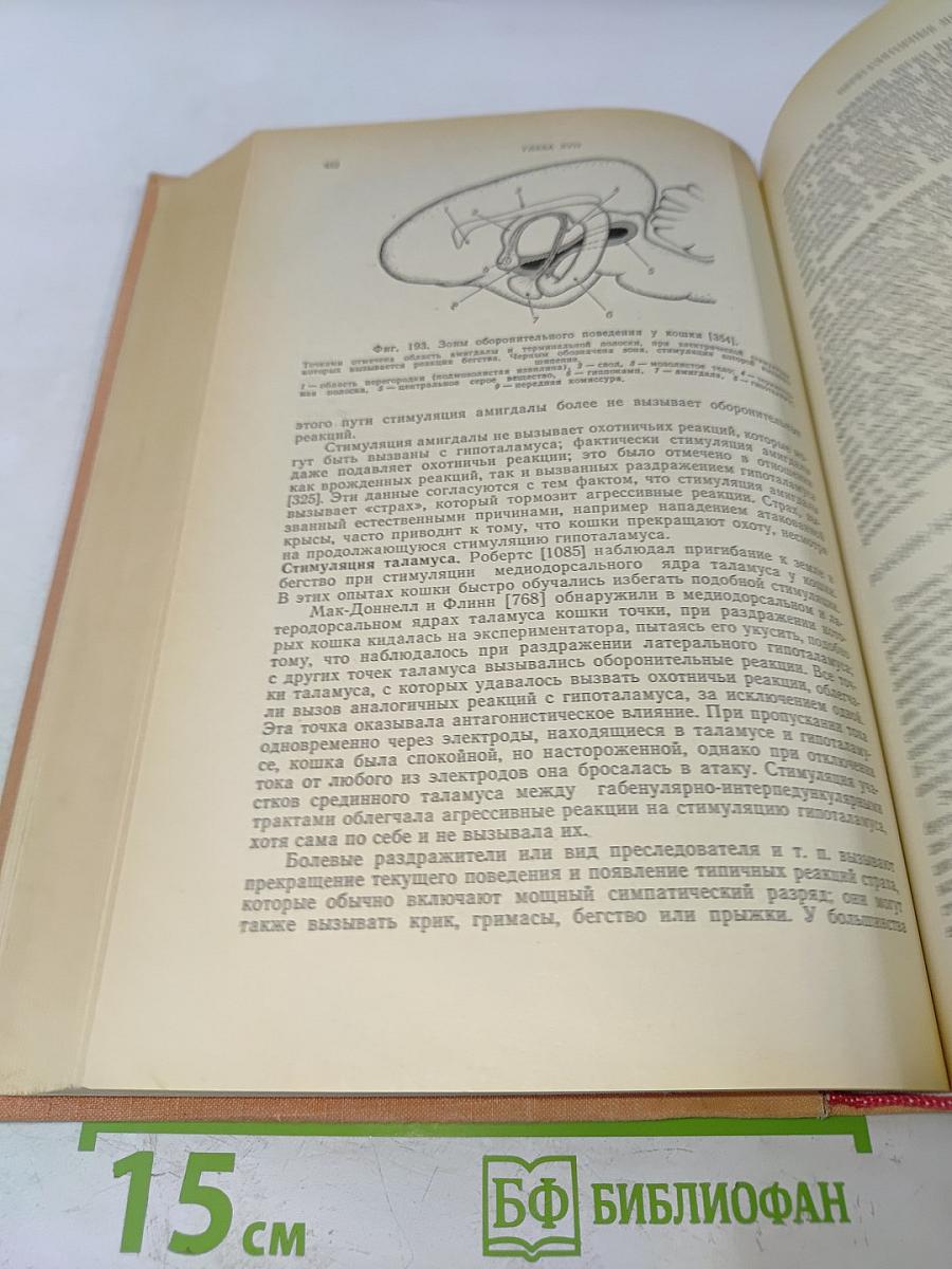 Физиологическая психология