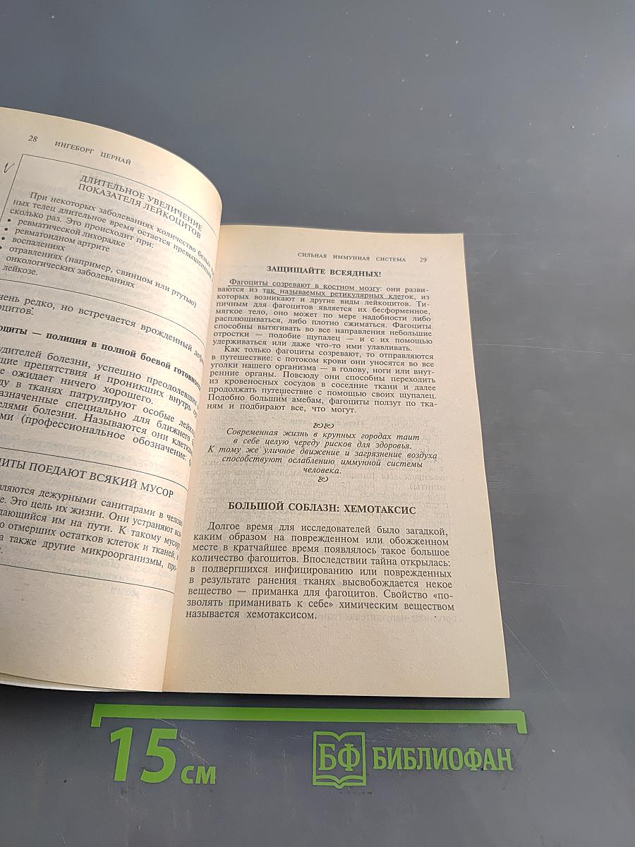 Сильная иммунная система – залог бодрости и здоровья