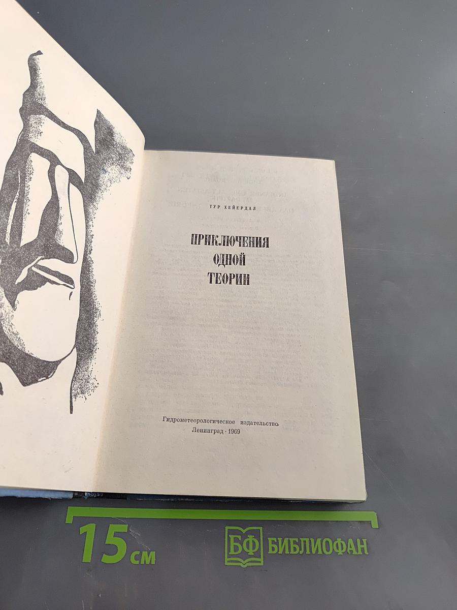 Приключения одной теории