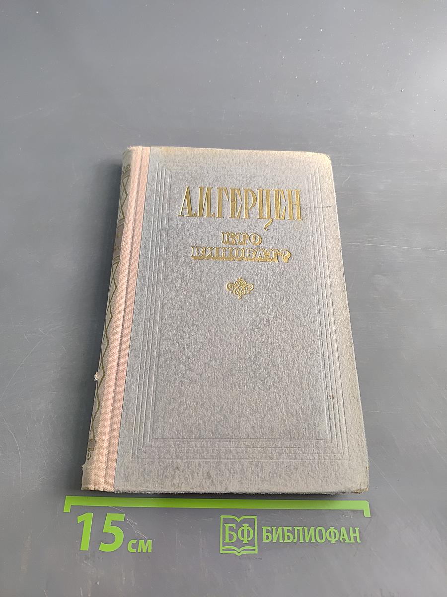 Кто виноват?