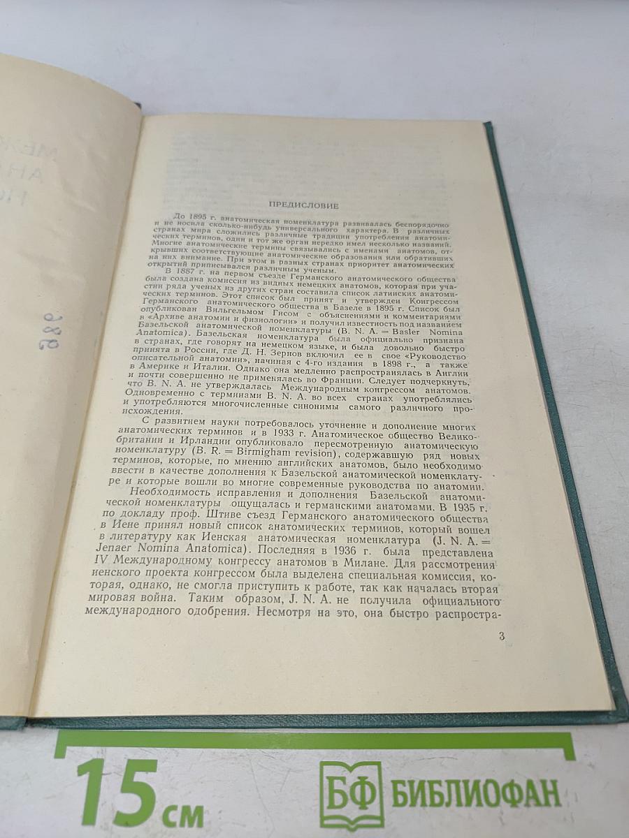 Международная анатомическая номенклатура