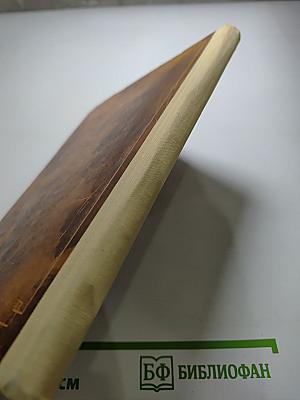 Дворянское гнездо. Для средней школы