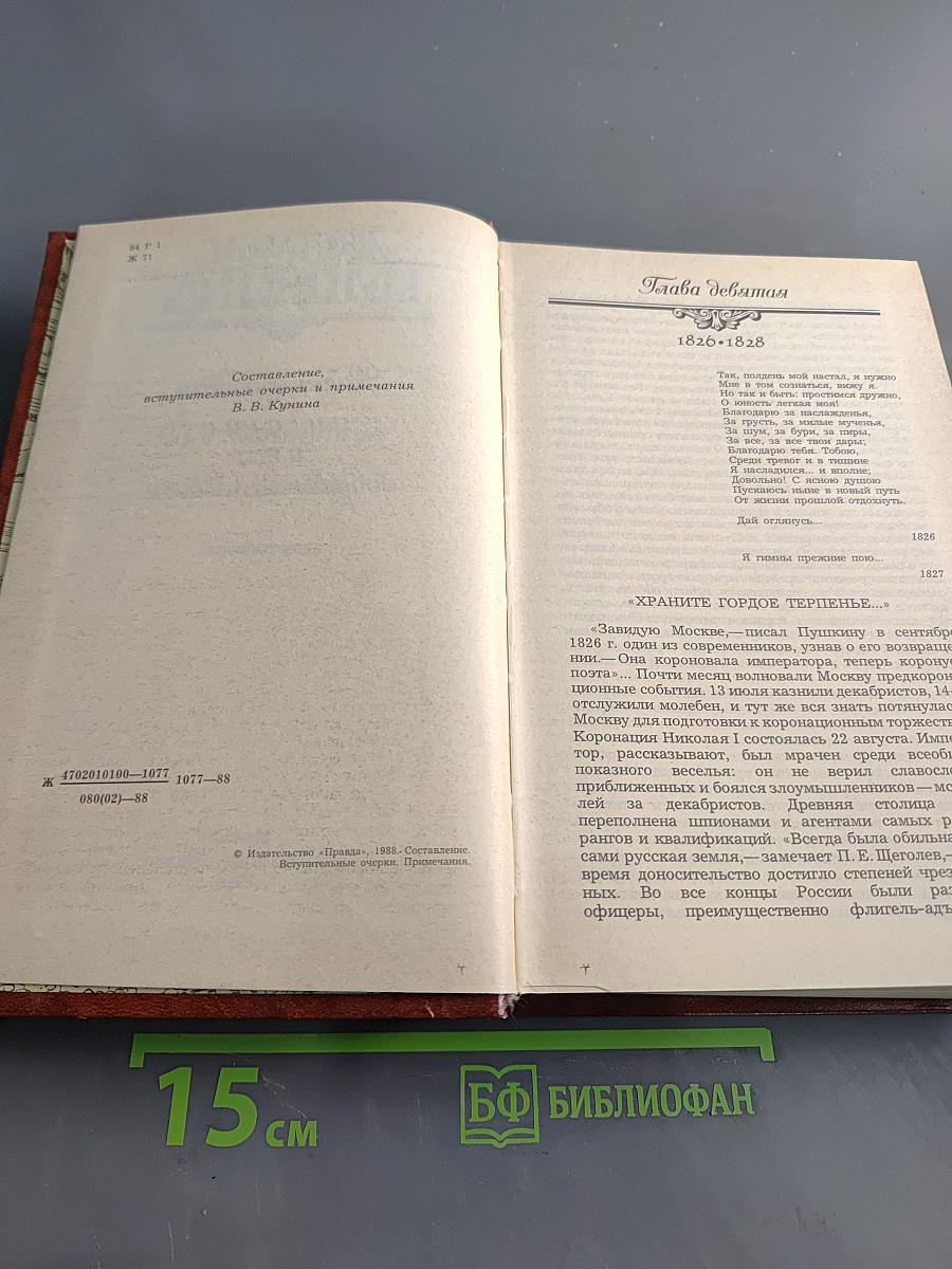 Жизнь Пушкина. Рассказанная им самим и его современниками. Том второй