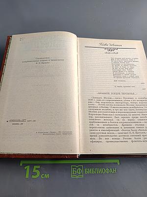 Жизнь Пушкина. Рассказанная им самим и его современниками. Том второй