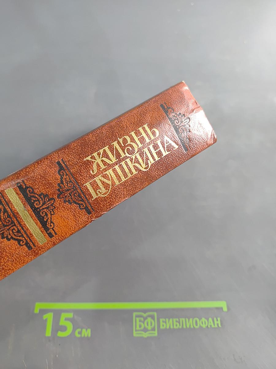 Жизнь Пушкина. Рассказанная им самим и его современниками. Том второй