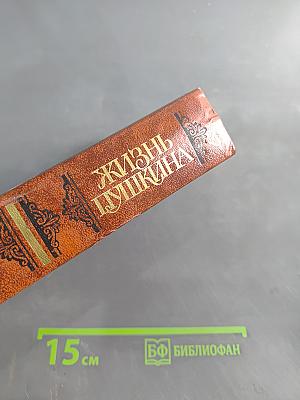 Жизнь Пушкина. Рассказанная им самим и его современниками. Том второй