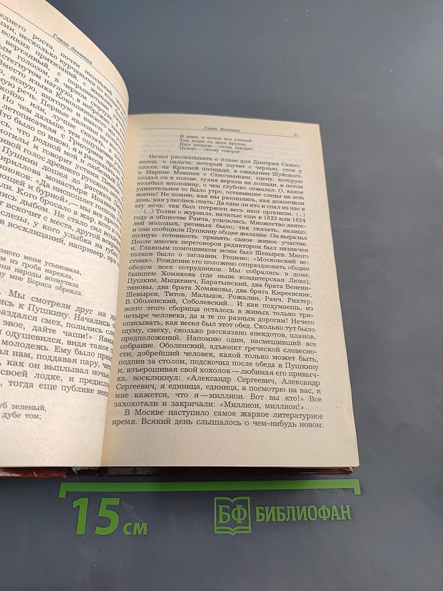 Жизнь Пушкина. Рассказанная им самим и его современниками. Том второй