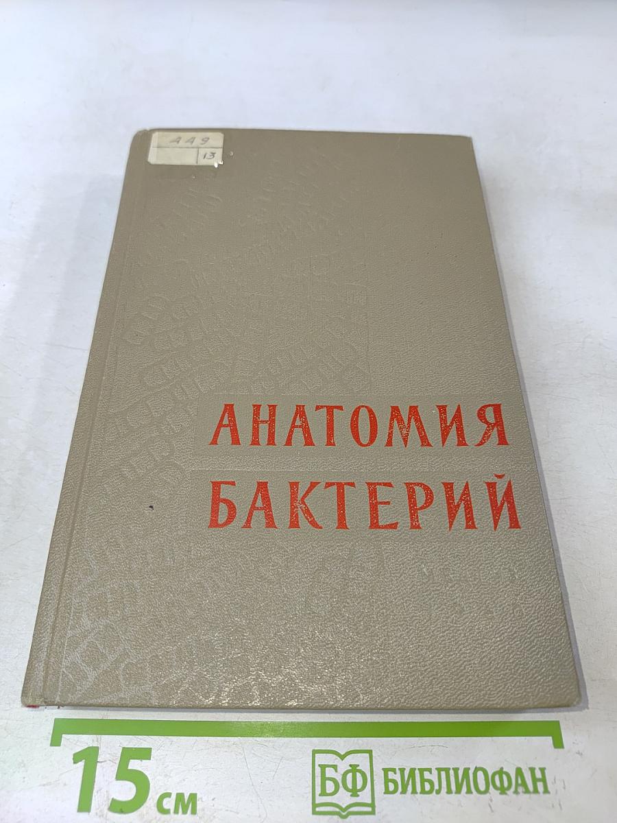 Анатомия бактерий